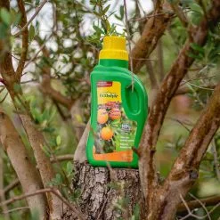 ECOstyle Citrus & Olijf Voeding - Stevige Vrucht - Langdurige Werking - Voor Alle Mediterrane Planten En Bomen 500 ML -Bloempotten Verkoop 1200x1200 555