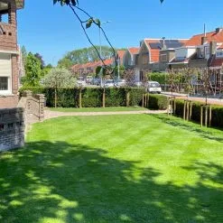 Moowy Snelwerkende Gazonmest Voor 100m² Gras | Meststof Voor Lente En Zomer | Ideaal Voor Meststofstrooier | Gazonbemesting 17 Moowy Snelwerkende Gazonmest Voor 100m² Gras | Meststof Voor Lente En Zomer | Ideaal Voor Meststofstrooier | Gazonbemesting -Bloempotten Verkoop 1200x1200 607