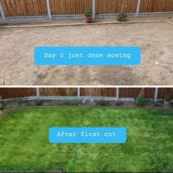 Moowy Snelwerkende Gazonmest Voor 100m² Gras | Meststof Voor Lente En Zomer | Ideaal Voor Meststofstrooier | Gazonbemesting 20 Moowy Snelwerkende Gazonmest Voor 100m² Gras | Meststof Voor Lente En Zomer | Ideaal Voor Meststofstrooier | Gazonbemesting -Bloempotten Verkoop 1200x1200 610