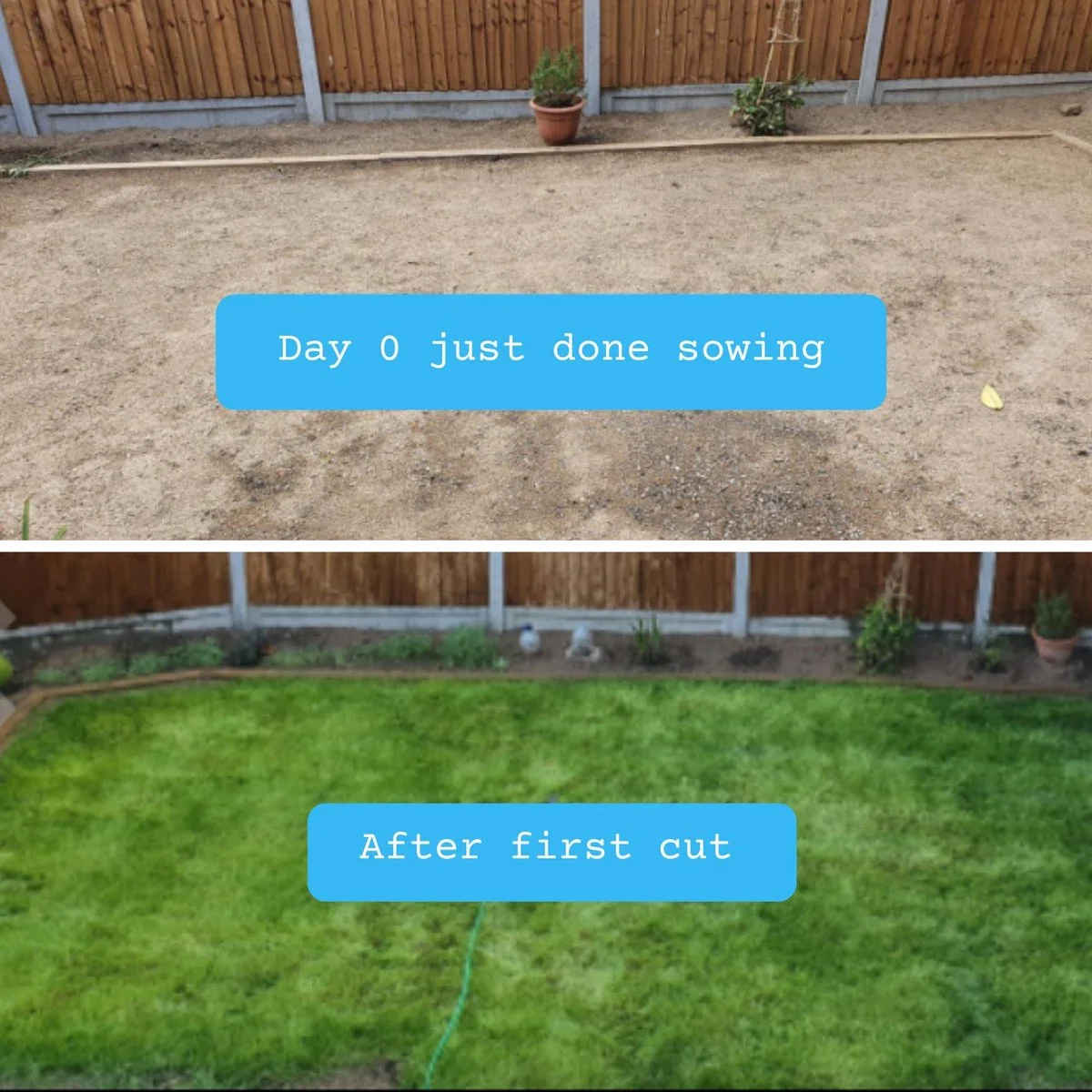 Moowy Snelwerkende Gazonmest Voor 100m² Gras | Meststof Voor Lente En Zomer | Ideaal Voor Meststofstrooier | Gazonbemesting 9 Moowy Snelwerkende Gazonmest Voor 100m² Gras | Meststof Voor Lente En Zomer | Ideaal Voor Meststofstrooier | Gazonbemesting - Afbeelding 9