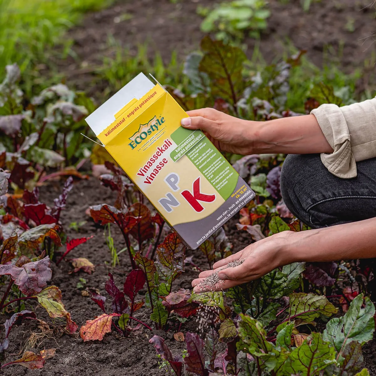ECOStyle Vinassekali Organische Meststof - Vuor Kaliumtekort - Voor Moestuin, Siertuin En Fruit - Hoger Weerstand Tegen Droogte & Vorst - 15M² - 800 GR 4 ECOStyle Vinassekali Organische Meststof - Vuor Kaliumtekort - Voor Moestuin, Siertuin En Fruit - Hoger Weerstand Tegen Droogte & Vorst - 15M² - 800 GR - Afbeelding 4
