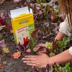 ECOStyle Vinassekali Organische Meststof - Vuor Kaliumtekort - Voor Moestuin, Siertuin En Fruit - Hoger Weerstand Tegen Droogte & Vorst - 15M² - 800 GR 14 ECOStyle Vinassekali Organische Meststof - Vuor Kaliumtekort - Voor Moestuin, Siertuin En Fruit - Hoger Weerstand Tegen Droogte & Vorst - 15M² - 800 GR -Bloempotten Verkoop 1200x1200 620