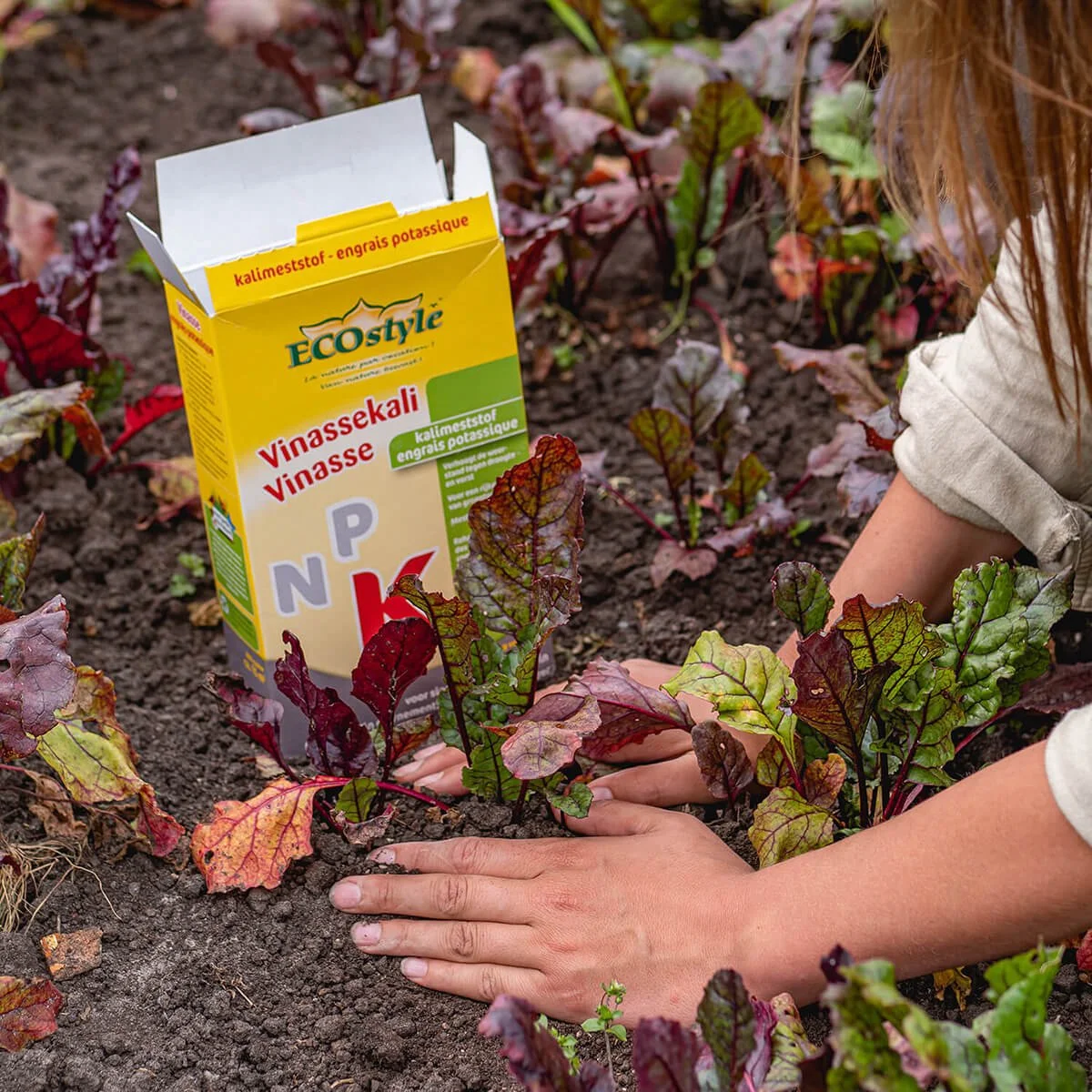 ECOStyle Vinassekali Organische Meststof - Vuor Kaliumtekort - Voor Moestuin, Siertuin En Fruit - Hoger Weerstand Tegen Droogte & Vorst - 15M² - 800 GR 5 ECOStyle Vinassekali Organische Meststof - Vuor Kaliumtekort - Voor Moestuin, Siertuin En Fruit - Hoger Weerstand Tegen Droogte & Vorst - 15M² - 800 GR - Afbeelding 5