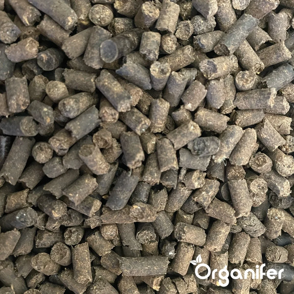 Koemestkorrels 3in1 (20Kg Voor 200m2) Allround Organische Meststof - Direct Opneembare Voeding - Langdurige Werking > 120 Dagen - Geurloos - Verbeterd Bodem - Lavameel Toevoeging - Versterkt Gras En Planten - Organifer 2 Koemestkorrels 3in1 (20Kg Voor 200m2) Allround Organische Meststof - Direct Opneembare Voeding - Langdurige Werking > 120 Dagen - Geurloos - Verbeterd Bodem - Lavameel Toevoeging - Versterkt Gras En Planten - Organifer - Afbeelding 2