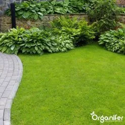 Koemestkorrels 3in1 (20Kg Voor 200m2) Allround Organische Meststof - Direct Opneembare Voeding - Langdurige Werking > 120 Dagen - Geurloos - Verbeterd Bodem - Lavameel Toevoeging - Versterkt Gras En Planten - Organifer 15 Koemestkorrels 3in1 (20Kg Voor 200m2) Allround Organische Meststof - Direct Opneembare Voeding - Langdurige Werking > 120 Dagen - Geurloos - Verbeterd Bodem - Lavameel Toevoeging - Versterkt Gras En Planten - Organifer -Bloempotten Verkoop 1200x1200 624