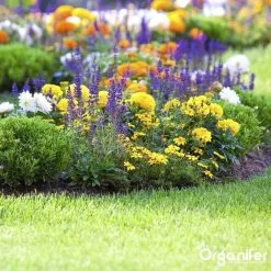 Koemestkorrels 3in1 (20Kg Voor 200m2) Allround Organische Meststof - Direct Opneembare Voeding - Langdurige Werking > 120 Dagen - Geurloos - Verbeterd Bodem - Lavameel Toevoeging - Versterkt Gras En Planten - Organifer 16 Koemestkorrels 3in1 (20Kg Voor 200m2) Allround Organische Meststof - Direct Opneembare Voeding - Langdurige Werking > 120 Dagen - Geurloos - Verbeterd Bodem - Lavameel Toevoeging - Versterkt Gras En Planten - Organifer -Bloempotten Verkoop 1200x1200 625