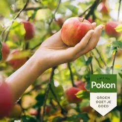 Pokon Bio Fruitbomen Mest - 1kg - Meststof (biologisch) - 120 Dagen Voeding 9 Pokon Bio Fruitbomen Mest - 1kg - Meststof (biologisch) - 120 Dagen Voeding -Bloempotten Verkoop 1200x1200 633