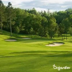 Kalk Korrel Meststof Verrijkt Met Magnesium (20Kg - Voor 400m2) Voor Dieper Bladgroen (+PH) Speciaal Voor Gazon, Perken, Moestuin En Openbaar Groen - Organifer 24 Kalk Korrel Meststof Verrijkt Met Magnesium (20Kg - Voor 400m2) Voor Dieper Bladgroen (+PH) Speciaal Voor Gazon, Perken, Moestuin En Openbaar Groen - Organifer -Bloempotten Verkoop 1200x1200 639