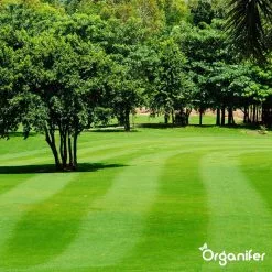 Kalk Korrel Meststof Verrijkt Met Magnesium (20Kg - Voor 400m2) Voor Dieper Bladgroen (+PH) Speciaal Voor Gazon, Perken, Moestuin En Openbaar Groen - Organifer 31 Kalk Korrel Meststof Verrijkt Met Magnesium (20Kg - Voor 400m2) Voor Dieper Bladgroen (+PH) Speciaal Voor Gazon, Perken, Moestuin En Openbaar Groen - Organifer -Bloempotten Verkoop 1200x1200 645