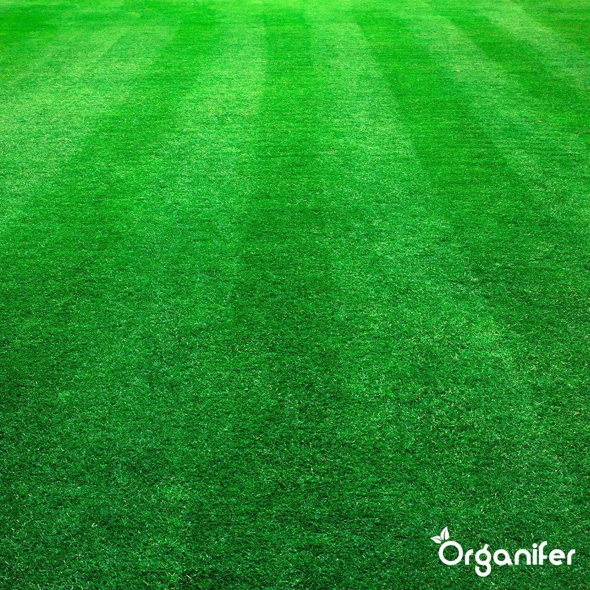 Kalk Korrel Meststof Verrijkt Met Magnesium (20Kg - Voor 400m2) Voor Dieper Bladgroen (+PH) Speciaal Voor Gazon, Perken, Moestuin En Openbaar Groen - Organifer 15 Kalk Korrel Meststof Verrijkt Met Magnesium (20Kg - Voor 400m2) Voor Dieper Bladgroen (+PH) Speciaal Voor Gazon, Perken, Moestuin En Openbaar Groen - Organifer - Afbeelding 15