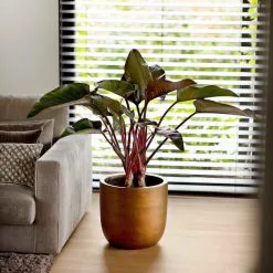 Capi Europe - Bloempot Bol Retro - 23x21 - Goud - Bloempot Voor Binnen - BRTG134 -Bloempotten Verkoop 1200x1200 65