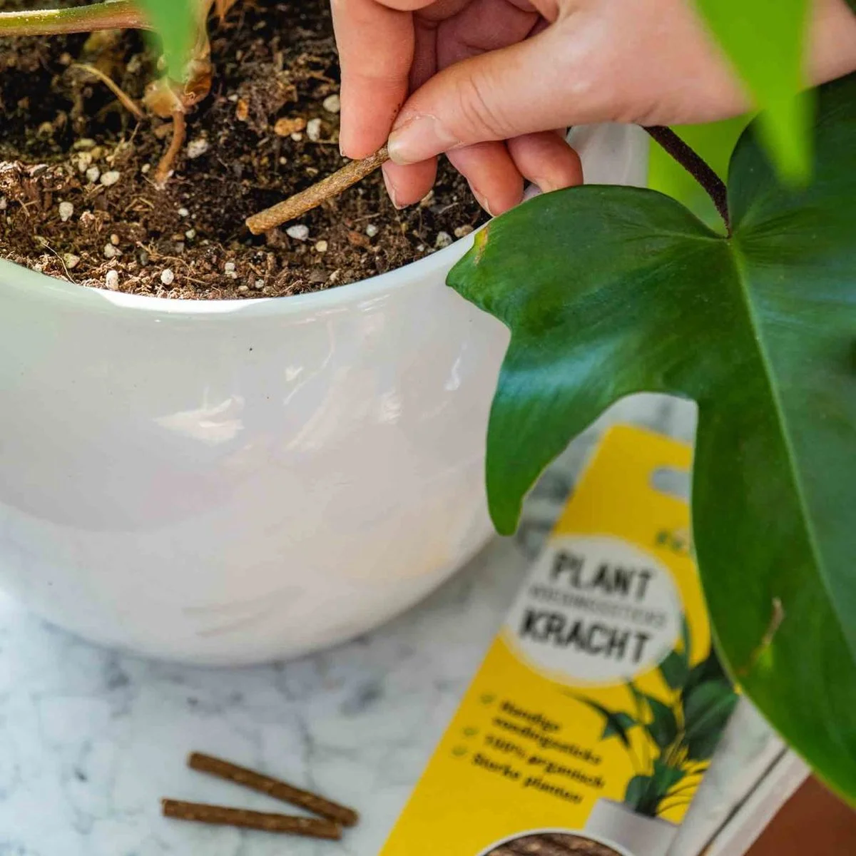 ECOstyle PlantKracht Voedingssticks - Sterke En Weerbare Potplanten - 100% Organische Planten - 120 Dagen Voeding - 30 Stuks 2 ECOstyle PlantKracht Voedingssticks - Sterke En Weerbare Potplanten - 100% Organische Planten - 120 Dagen Voeding - 30 Stuks - Afbeelding 2