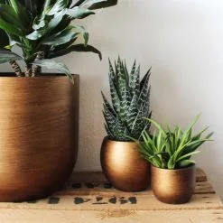 Capi Europe - Bloempot Bol Retro - 23x21 - Goud - Bloempot Voor Binnen - BRTG134 -Bloempotten Verkoop 1200x1200 66