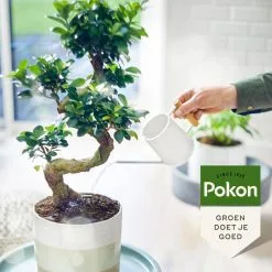 Pokon Bio Bonsai Voeding - 250ml - Plantenvoeding (bio) - 7ml Per 1L Water -Bloempotten Verkoop 1200x1200 664
