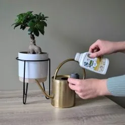 Pokon Bio Bonsai Voeding - 250ml - Plantenvoeding (bio) - 7ml Per 1L Water -Bloempotten Verkoop 1200x1200 665