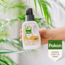 Pokon Bio Palm Voeding - 250ml - Plantenvoeding (bio) - 7ml Per 1L Water 11 Pokon Bio Palm Voeding - 250ml - Plantenvoeding (bio) - 7ml Per 1L Water -Bloempotten Verkoop 1200x1200 667