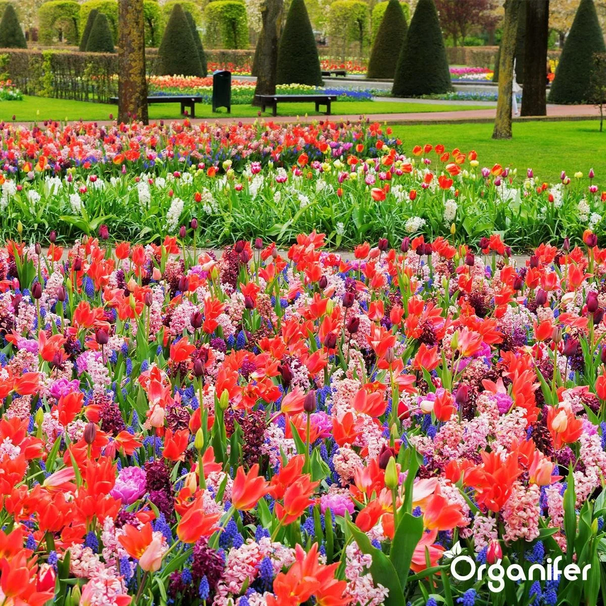 Lavameel Uit Eifel Oergesteente (20Kg Voor 200m2) Organifer 8 Lavameel Uit Eifel Oergesteente (20Kg Voor 200m2) Organifer - Afbeelding 8