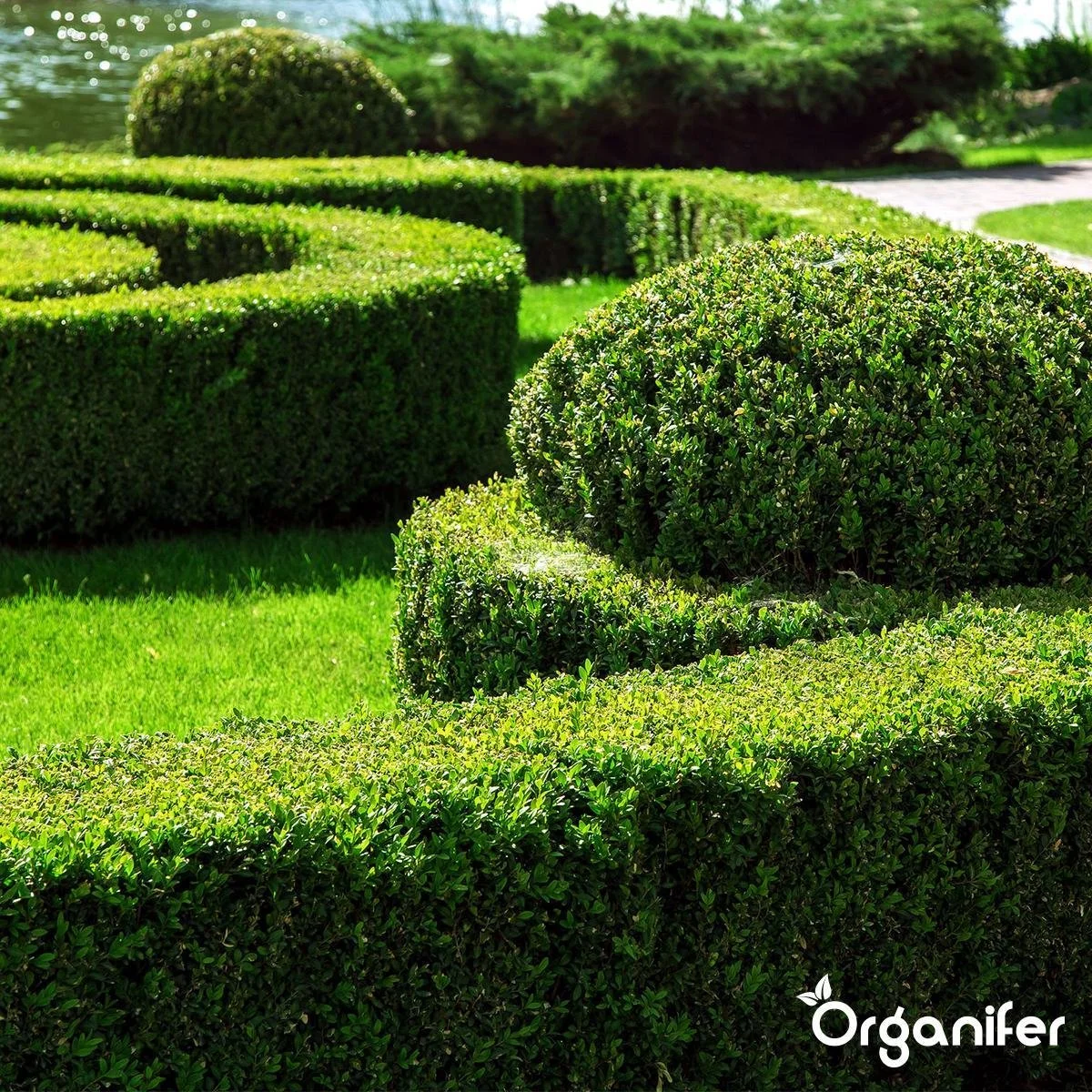Lavameel Uit Eifel Oergesteente (20Kg Voor 200m2) Organifer 11 Lavameel Uit Eifel Oergesteente (20Kg Voor 200m2) Organifer - Afbeelding 11