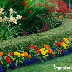 Lavameel Uit Eifel Oergesteente (20Kg Voor 200m2) Organifer 23 Lavameel Uit Eifel Oergesteente (20Kg Voor 200m2) Organifer -Bloempotten Verkoop 1200x1200 679