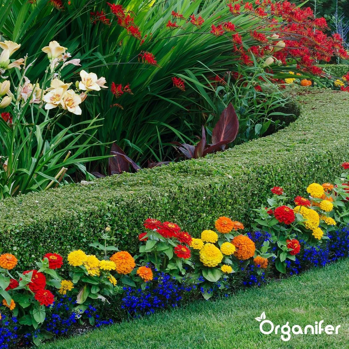 Lavameel Uit Eifel Oergesteente (20Kg Voor 200m2) Organifer 12 Lavameel Uit Eifel Oergesteente (20Kg Voor 200m2) Organifer - Afbeelding 12