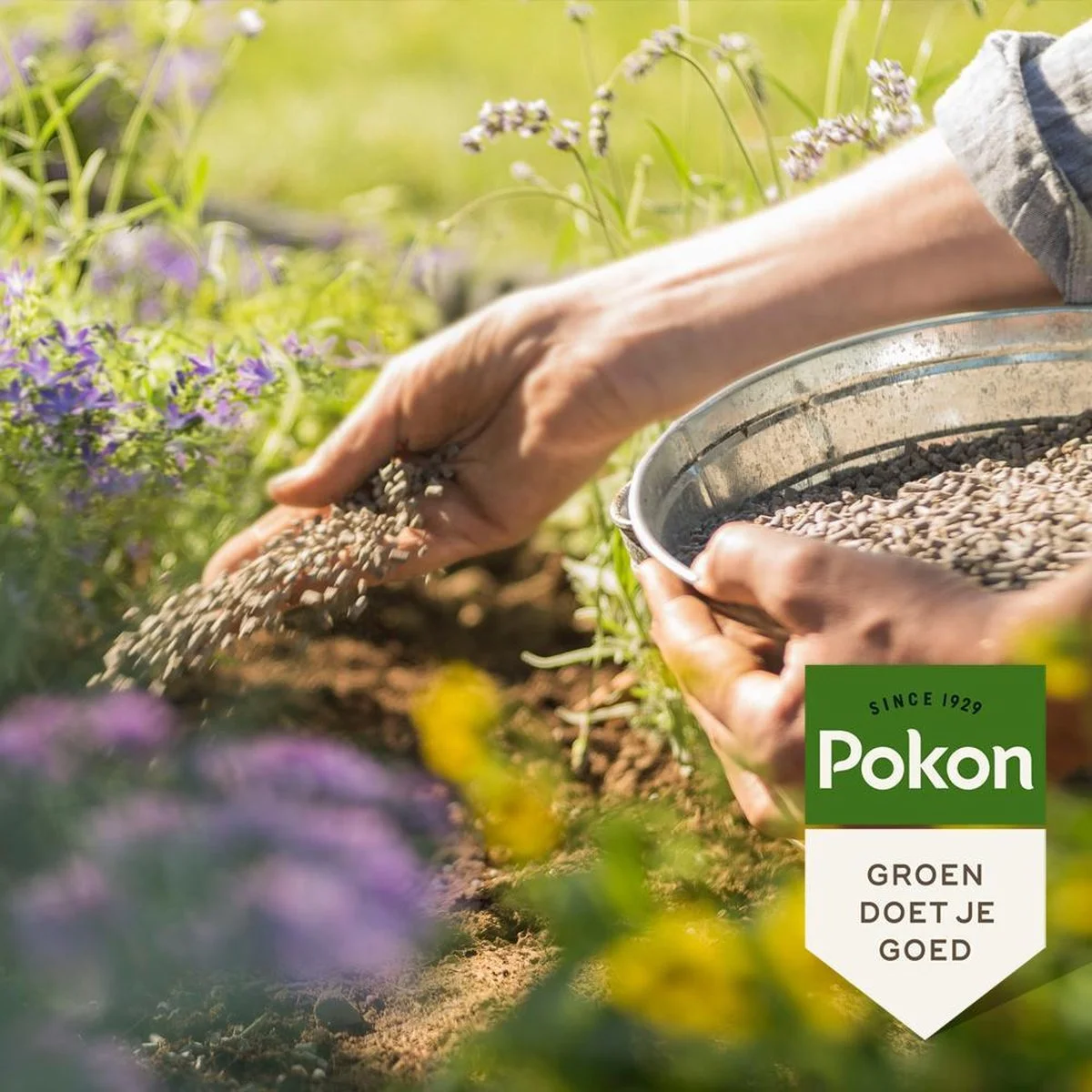 Pokon Tuinmest - 1kg - Meststof - 3-in-1 Werking 4 Pokon Tuinmest - 1kg - Meststof - 3-in-1 Werking - Afbeelding 4