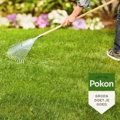 Pokon Gazonmest Met Kalk - 2kg - Mest - Geschikt Voor 30m² - 120 Dagen Voeding 12 Pokon Gazonmest Met Kalk - 2kg - Mest - Geschikt Voor 30m² - 120 Dagen Voeding -Bloempotten Verkoop 1200x1200 724