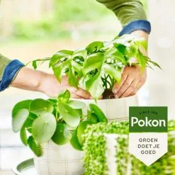 Pokon Bio Groene Planten Voeding - 500ml - Plantenvoeding (bio) - 7ml Per 1L Water 11 Pokon Bio Groene Planten Voeding - 500ml - Plantenvoeding (bio) - 7ml Per 1L Water -Bloempotten Verkoop 1200x1200 730