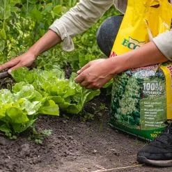 ECOStyle Moestuinmest Voor Eetbare Gewassen - Voor Fruit En Moestuin - Rijk Aan Kalium - 120 Dagen Voeding - 80 M² - 8 KG 9 ECOStyle Moestuinmest Voor Eetbare Gewassen - Voor Fruit En Moestuin - Rijk Aan Kalium - 120 Dagen Voeding - 80 M² - 8 KG -Bloempotten Verkoop 1200x1200 740