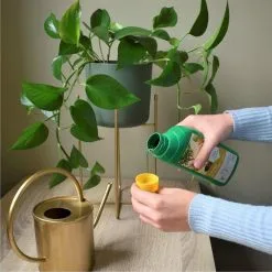 Pokon Kamerplanten Voeding - 500ml - Plantenvoeding - 20ml Per 1L Water 11 Pokon Kamerplanten Voeding - 500ml - Plantenvoeding - 20ml Per 1L Water -Bloempotten Verkoop 1200x1200 748