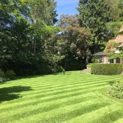 Moowy Gazonmest Met Ijzersulfaat Voor 100m²Gras | Gazon Meststof Met Ijzer | Mos Bestrijding & Gras Bemesting In Één | Ideaal Voor Meststofstrooier | Gazonbemesting 12 Moowy Gazonmest Met Ijzersulfaat Voor 100m²Gras | Gazon Meststof Met Ijzer | Mos Bestrijding & Gras Bemesting In Één | Ideaal Voor Meststofstrooier | Gazonbemesting -Bloempotten Verkoop 1200x1200 751