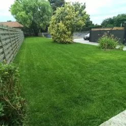 Moowy Gazonmest Met Ijzersulfaat Voor 100m²Gras | Gazon Meststof Met Ijzer | Mos Bestrijding & Gras Bemesting In Één | Ideaal Voor Meststofstrooier | Gazonbemesting 13 Moowy Gazonmest Met Ijzersulfaat Voor 100m²Gras | Gazon Meststof Met Ijzer | Mos Bestrijding & Gras Bemesting In Één | Ideaal Voor Meststofstrooier | Gazonbemesting -Bloempotten Verkoop 1200x1200 752