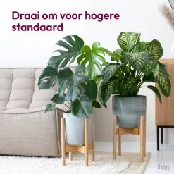 Gadgy Bamboe Plantenstandaard 2 St - Plantentafel - Plantentafeltje Voor Binnen - Plantenrek - Uitschuifbaar - Hout - Ø 20 Tot 30 Cm -Bloempotten Verkoop 1200x1200 77