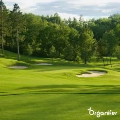 Gazonmest All-In-One (10Kg - Voor 200m2) Voor Een Diepgroen Sterk Gazon Zonder Mos En Onkruid - Complete Meststof Met Kalk En Grasversterker - Organifer 23 Gazonmest All-In-One (10Kg - Voor 200m2) Voor Een Diepgroen Sterk Gazon Zonder Mos En Onkruid - Complete Meststof Met Kalk En Grasversterker - Organifer -Bloempotten Verkoop 1200x1200 783