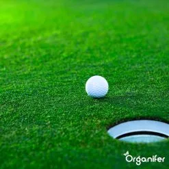 Gazonmest All-In-One (10Kg - Voor 200m2) Voor Een Diepgroen Sterk Gazon Zonder Mos En Onkruid - Complete Meststof Met Kalk En Grasversterker - Organifer 27 Gazonmest All-In-One (10Kg - Voor 200m2) Voor Een Diepgroen Sterk Gazon Zonder Mos En Onkruid - Complete Meststof Met Kalk En Grasversterker - Organifer -Bloempotten Verkoop 1200x1200 787