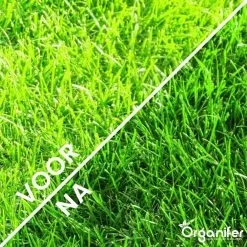 Kalk Korrel Meststof Verrijkt Met Magnesium (5Kg - Voor 100m2) Voor Dieper Bladgroen (+PH) Speciaal Voor Gazon, Perken, Moestuin En Openbaar Groen - Organifer 18 Kalk Korrel Meststof Verrijkt Met Magnesium (5Kg - Voor 100m2) Voor Dieper Bladgroen (+PH) Speciaal Voor Gazon, Perken, Moestuin En Openbaar Groen - Organifer -Bloempotten Verkoop 1200x1200 791