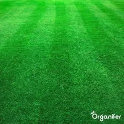 Kalk Korrel Meststof Verrijkt Met Magnesium (5Kg - Voor 100m2) Voor Dieper Bladgroen (+PH) Speciaal Voor Gazon, Perken, Moestuin En Openbaar Groen - Organifer 28 Kalk Korrel Meststof Verrijkt Met Magnesium (5Kg - Voor 100m2) Voor Dieper Bladgroen (+PH) Speciaal Voor Gazon, Perken, Moestuin En Openbaar Groen - Organifer -Bloempotten Verkoop 1200x1200 800