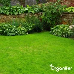 IJzersulfaat Meststof – Mos Verwijderaar – 5kg -Voor 250m2 (organifer) 14 IJzersulfaat Meststof – Mos Verwijderaar – 5kg -Voor 250m2 (organifer) -Bloempotten Verkoop 1200x1200 810