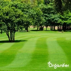 IJzersulfaat Meststof – Mos Verwijderaar – 5kg -Voor 250m2 (organifer) 18 IJzersulfaat Meststof – Mos Verwijderaar – 5kg -Voor 250m2 (organifer) -Bloempotten Verkoop 1200x1200 814