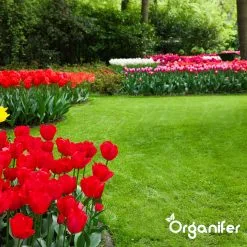 IJzersulfaat Meststof – Mos Verwijderaar – 5kg -Voor 250m2 (organifer) 20 IJzersulfaat Meststof – Mos Verwijderaar – 5kg -Voor 250m2 (organifer) -Bloempotten Verkoop 1200x1200 816