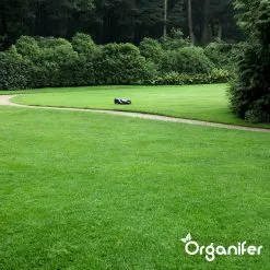 IJzersulfaat Meststof – Mos Verwijderaar – 5kg -Voor 250m2 (organifer) 21 IJzersulfaat Meststof – Mos Verwijderaar – 5kg -Voor 250m2 (organifer) -Bloempotten Verkoop 1200x1200 817