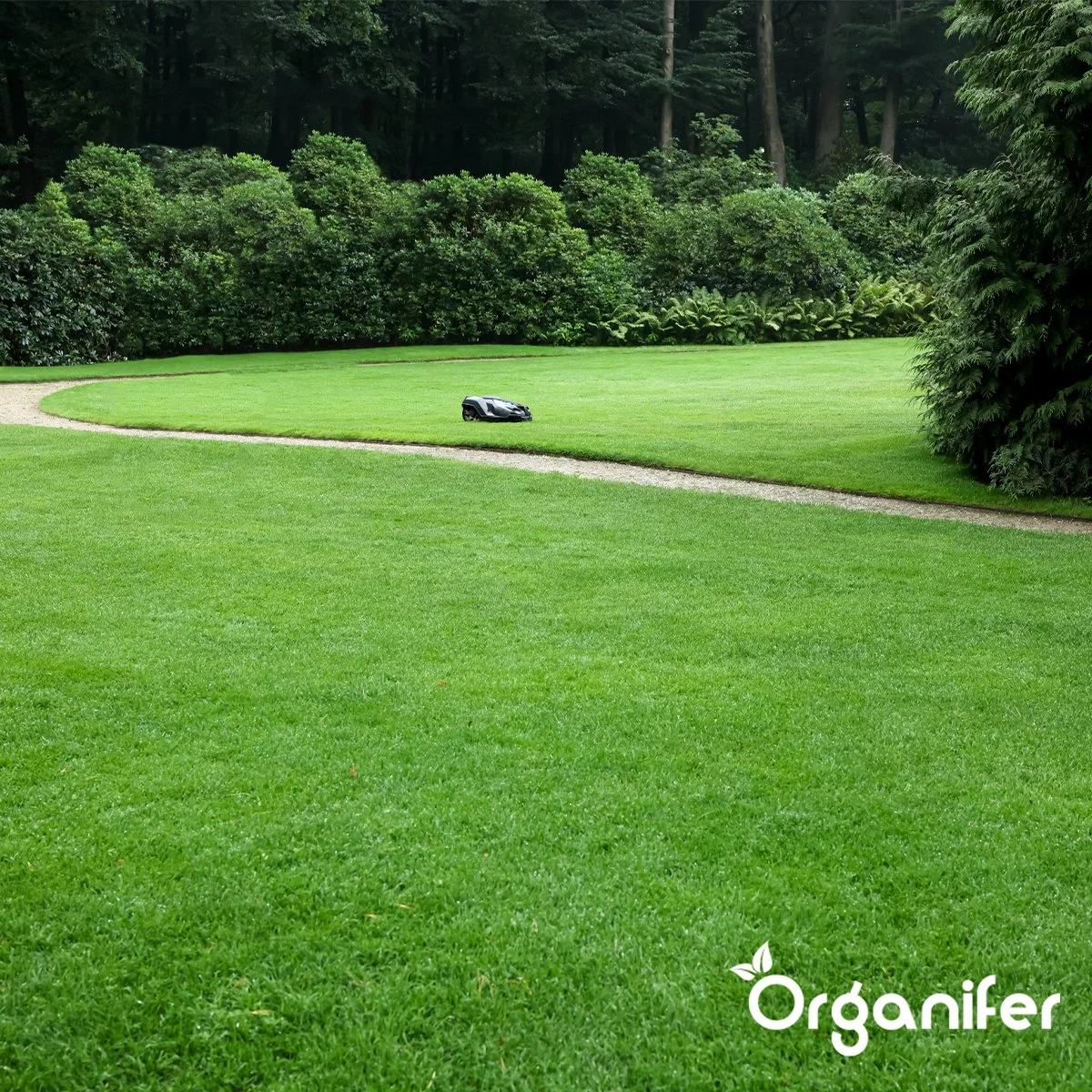 IJzersulfaat Meststof – Mos Verwijderaar – 5kg -Voor 250m2 (organifer) 10 IJzersulfaat Meststof – Mos Verwijderaar – 5kg -Voor 250m2 (organifer) - Afbeelding 10