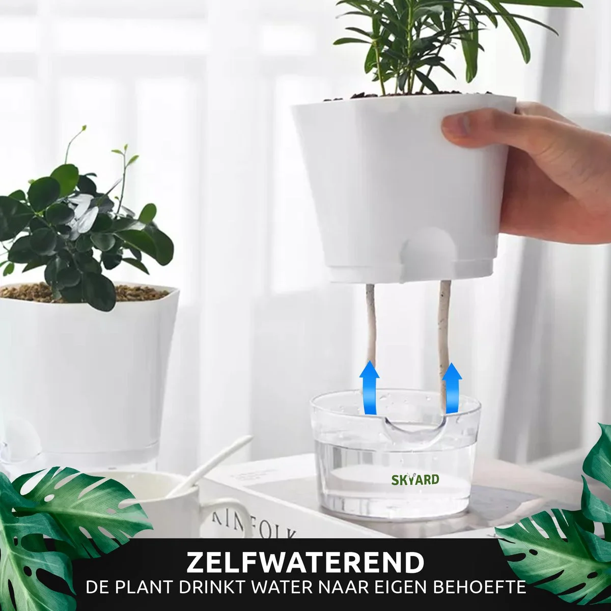 SKYARD® 3 Stuks Zelfwaterende Bloempot Maat M – Milieuvriendelijk Watergeefsysteem Kamerplanten – Zelfwatergevende Pot – Bloempot Met Waterreservoir – Selfwatering Pot – Wit 2 SKYARD® 3 Stuks Zelfwaterende Bloempot Maat M – Milieuvriendelijk Watergeefsysteem Kamerplanten – Zelfwatergevende Pot – Bloempot Met Waterreservoir – Selfwatering Pot – Wit - Afbeelding 2