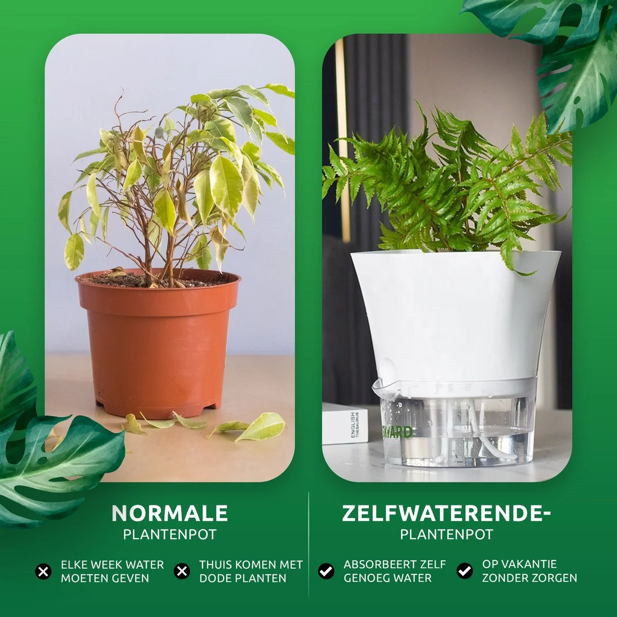 SKYARD® 3 Stuks Zelfwaterende Bloempot Maat M – Milieuvriendelijk Watergeefsysteem Kamerplanten – Zelfwatergevende Pot – Bloempot Met Waterreservoir – Selfwatering Pot – Wit 4 SKYARD® 3 Stuks Zelfwaterende Bloempot Maat M – Milieuvriendelijk Watergeefsysteem Kamerplanten – Zelfwatergevende Pot – Bloempot Met Waterreservoir – Selfwatering Pot – Wit - Afbeelding 4