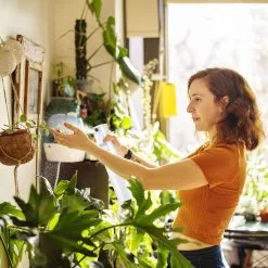 Allsa Mist Verstuiver - Mist Sprayer - Planten Spuit - Continuous Spray - Zwart 11 Allsa Mist Verstuiver - Mist Sprayer - Planten Spuit - Continuous Spray - Zwart -Bloempotten Verkoop 1200x1200 834