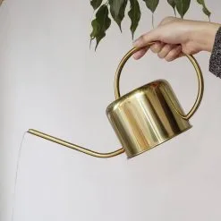 Kikkerland Vintage Gieter - Plantengieter Voor Binnen - Goud - 1,2L - Retro - Metaal -Bloempotten Verkoop 1200x1200 838