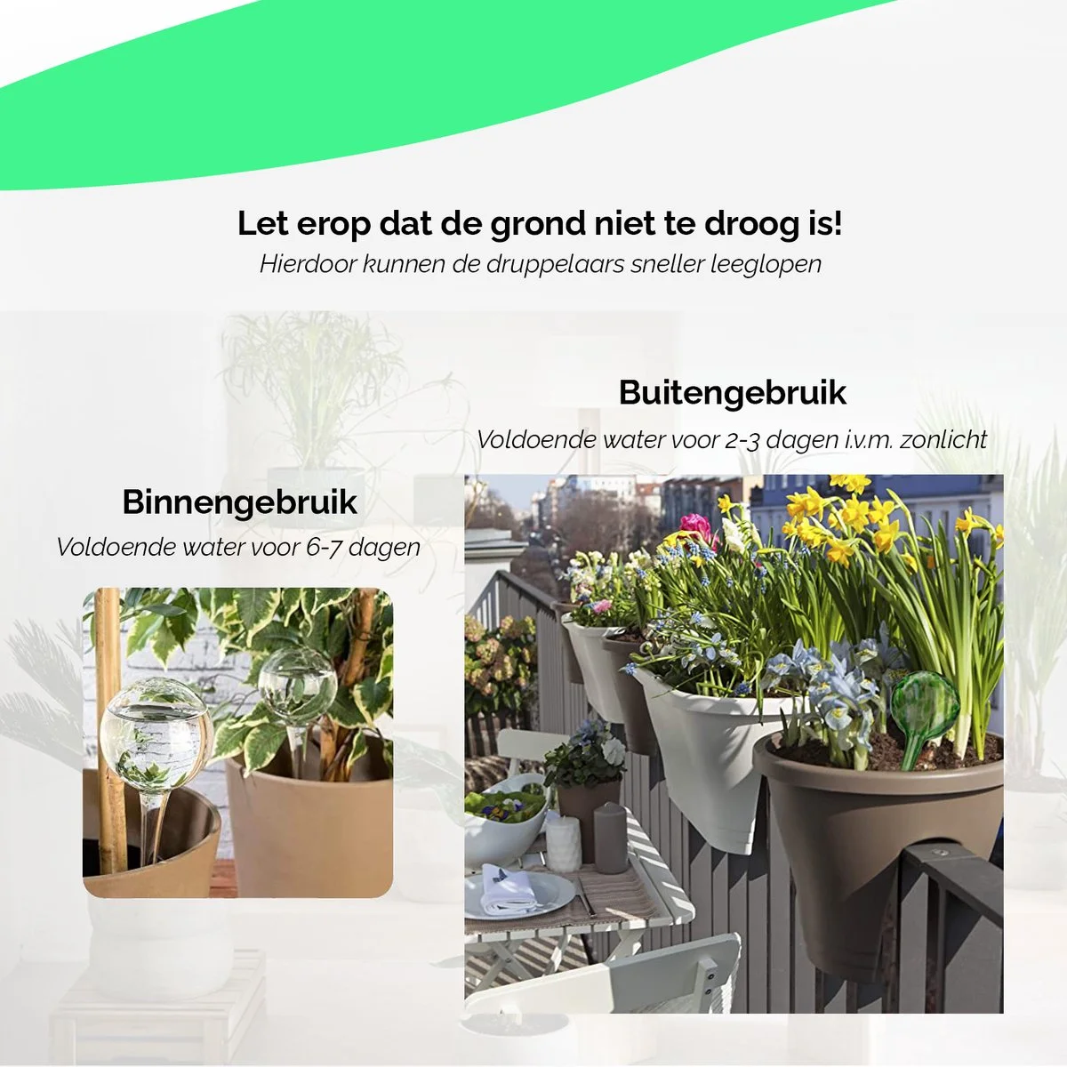 HGMD® Waterdruppelaar Set Van 8 Stuks Voor Planten Transparant - Waterdruppelaar Voor Kamerplanten – Waterbol - Waterdruppelaar Voor Planten - Watergeefsysteem 5 HGMD® Waterdruppelaar Set Van 8 Stuks Voor Planten Transparant - Waterdruppelaar Voor Kamerplanten – Waterbol - Waterdruppelaar Voor Planten - Watergeefsysteem - Afbeelding 5