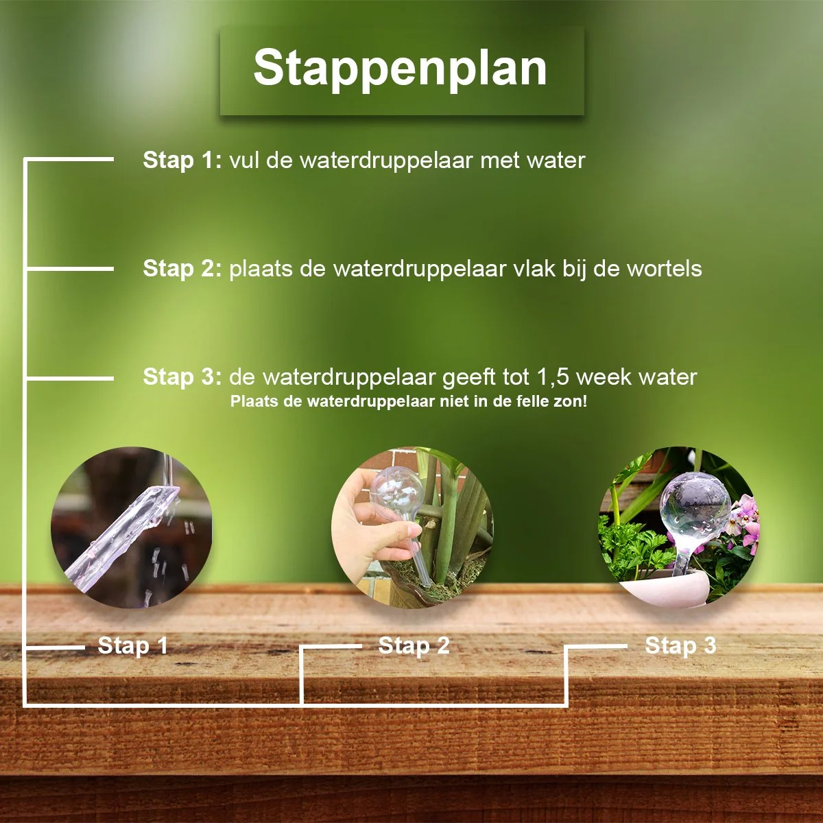 Stan Online Products Waterdruppelaar Set Van 12 Stuks - Waterdruppelaar Voor Planten - Watergeefsysteem - Waterbol Irrigatiesysteem - Automatisch Druppelsysteem Voor Kamerplanten & Tuin - Watergever - Transparant - 15cm 7 Stan Online Products Waterdruppelaar Set Van 12 Stuks - Waterdruppelaar Voor Planten - Watergeefsysteem - Waterbol Irrigatiesysteem - Automatisch Druppelsysteem Voor Kamerplanten & Tuin - Watergever - Transparant - 15cm - Afbeelding 7