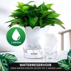 SKYARD® 3 Stuks Zelfwaterende Bloempot Maat M – Milieuvriendelijk Watergeefsysteem Kamerplanten – Zelfwatergevende Pot – Bloempot Met Waterreservoir – Selfwatering Pot – Wit 19 SKYARD® 3 Stuks Zelfwaterende Bloempot Maat M – Milieuvriendelijk Watergeefsysteem Kamerplanten – Zelfwatergevende Pot – Bloempot Met Waterreservoir – Selfwatering Pot – Wit -Bloempotten Verkoop 1200x1200 87