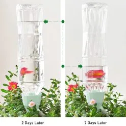 BOTC Waterdruppelaar Set Van 6 Stuks Voor Planten - Watergeefsysteem 13 BOTC Waterdruppelaar Set Van 6 Stuks Voor Planten - Watergeefsysteem -Bloempotten Verkoop 1200x1200 943