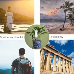 BOTC Waterdruppelaar Set Van 6 Stuks Voor Planten - Watergeefsysteem 16 BOTC Waterdruppelaar Set Van 6 Stuks Voor Planten - Watergeefsysteem -Bloempotten Verkoop 1200x1200 944